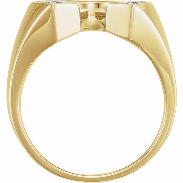 Vibrant Feel 14K Yellow & White 1/4 CTW Diamond Men's Horseshoe Ring