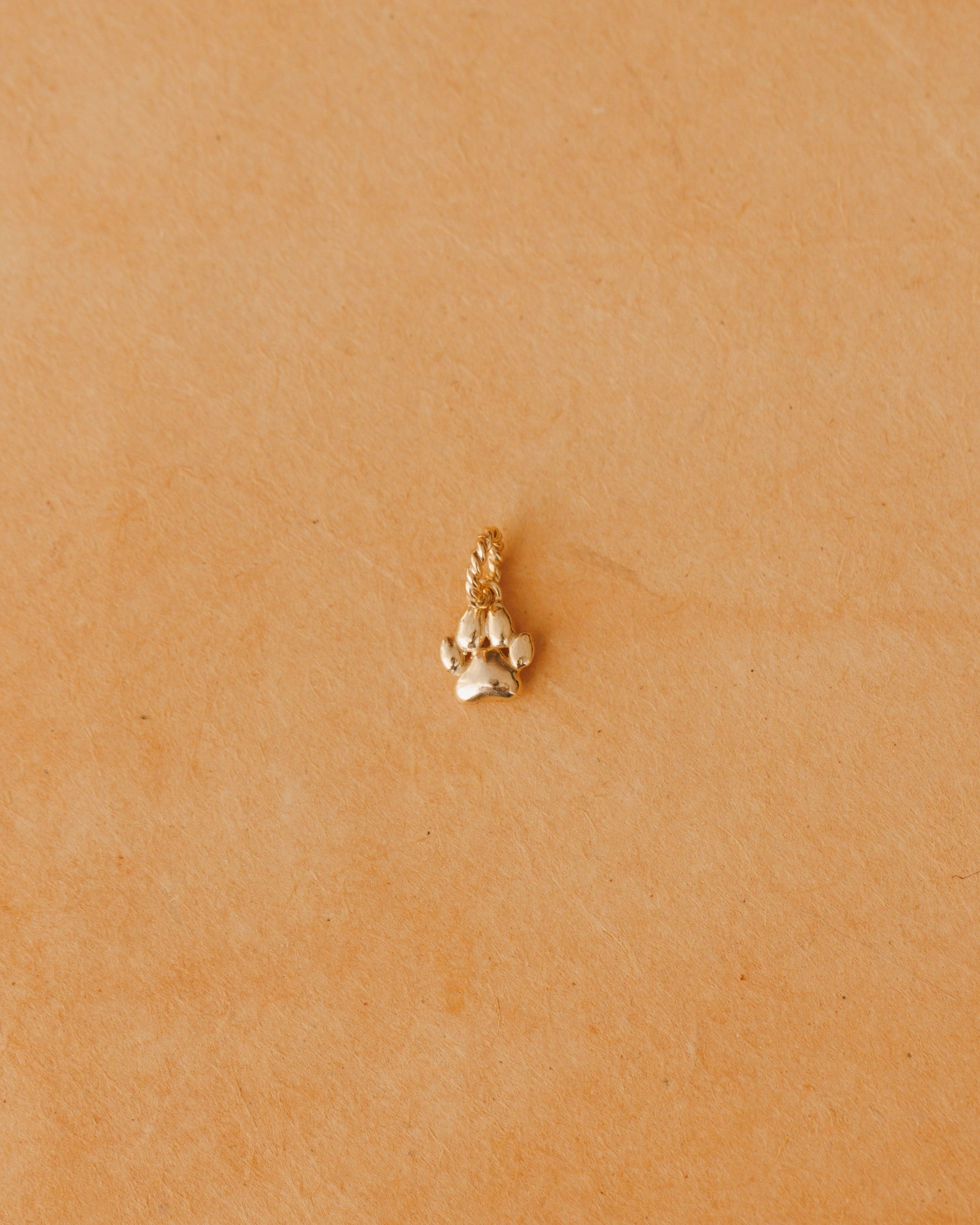 Puppy Paw Charm Glistening Glow Refined Form
