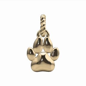 Dynamic Accent Bright Mood Puppy Paw Charm