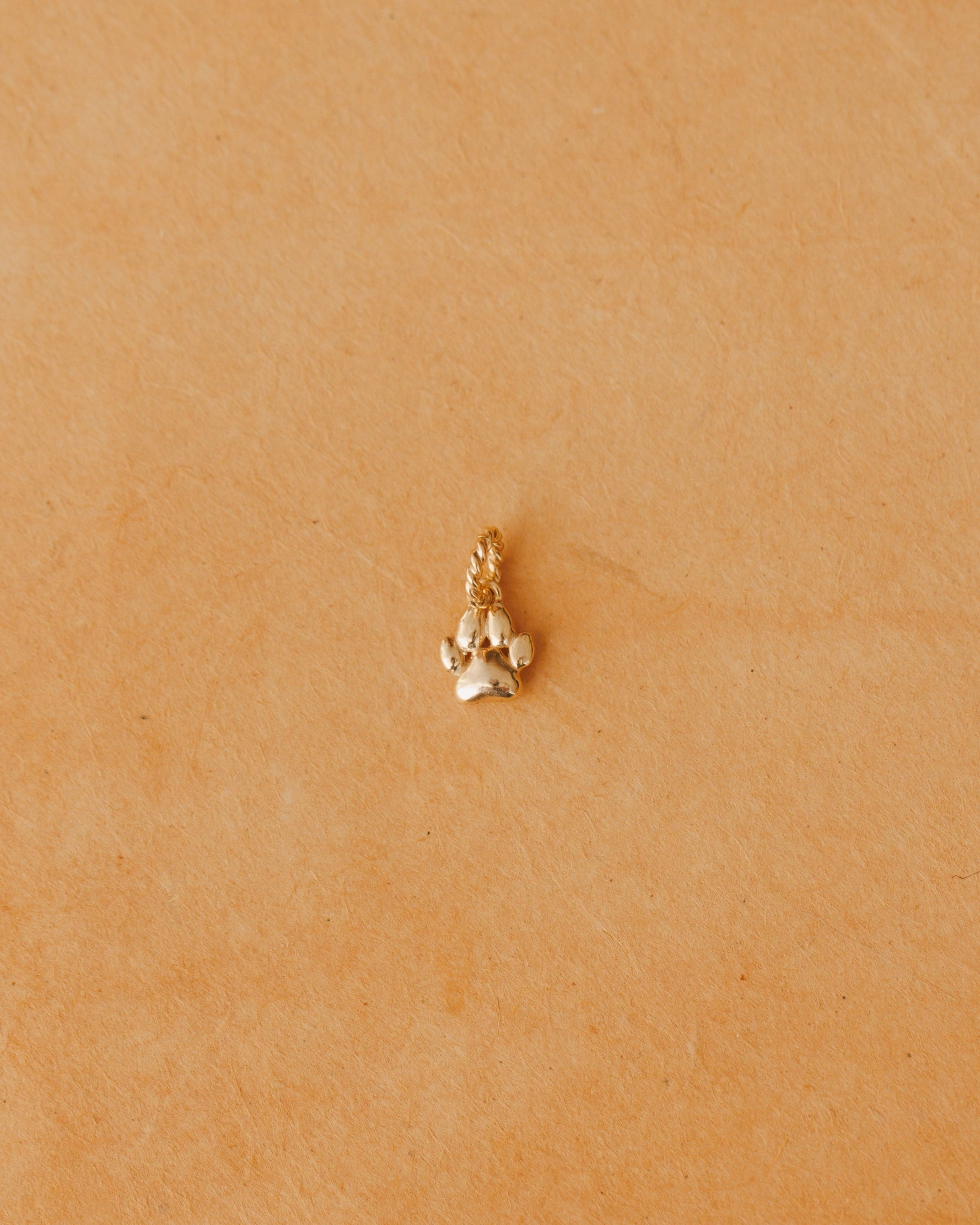 Puppy Paw Charm Delicate Detail Custom Finish