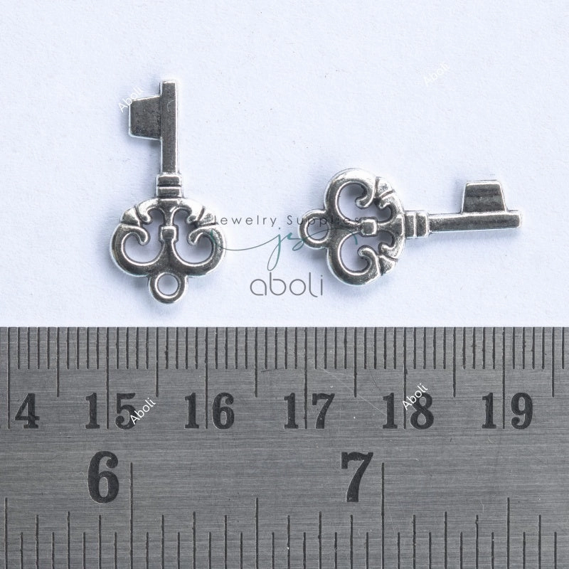 Perfect Accessory Subtle Feature Silver key charm silver charm unlock growth, luck theme charm CHMS164 2 charms