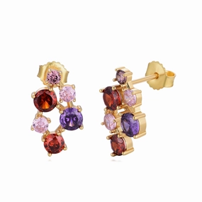 Sterling Silver Gold Plated Multicolor CZ Cluster Stud Earring Elegant accessory