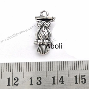 Silver Charm owl charm double sided graduation hat knowledge CHMS22 Expressive Touch