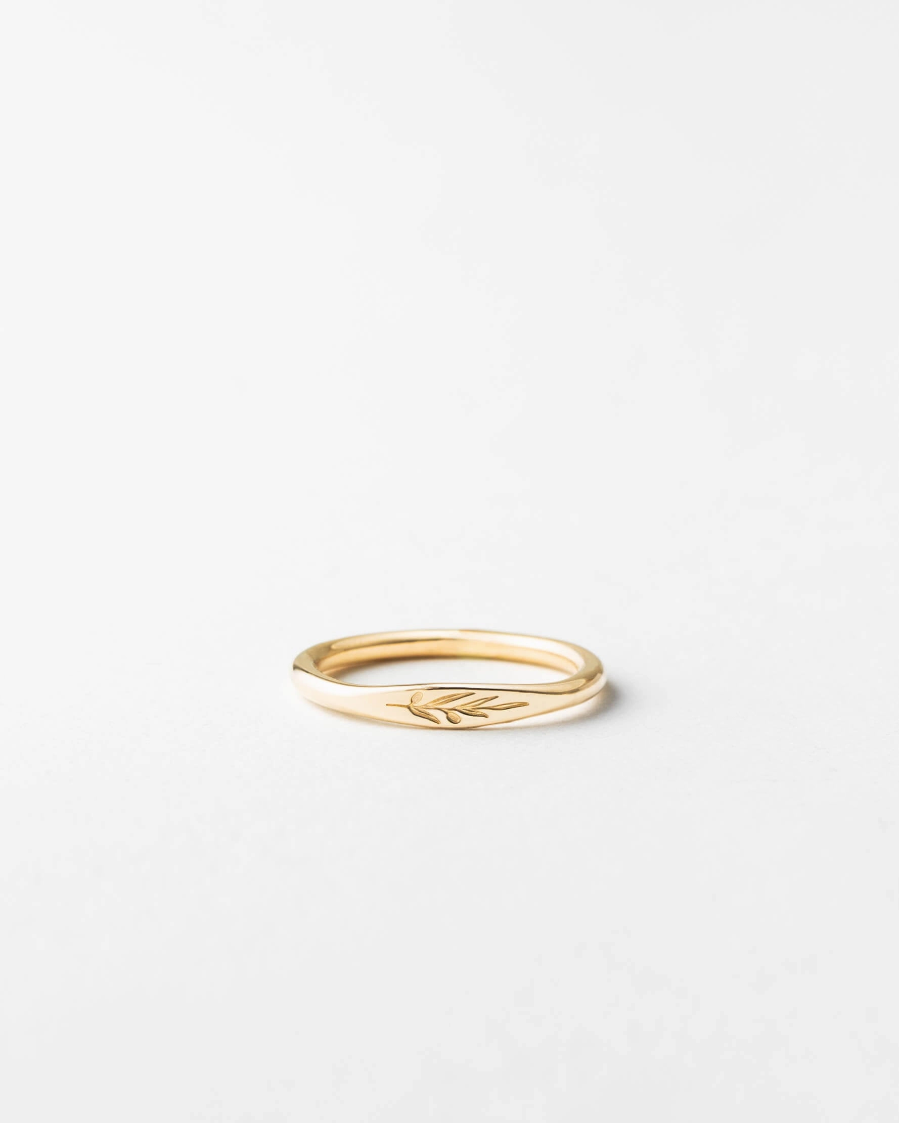 Stylish Addition Wonderful Accessory Olive Branch Signet