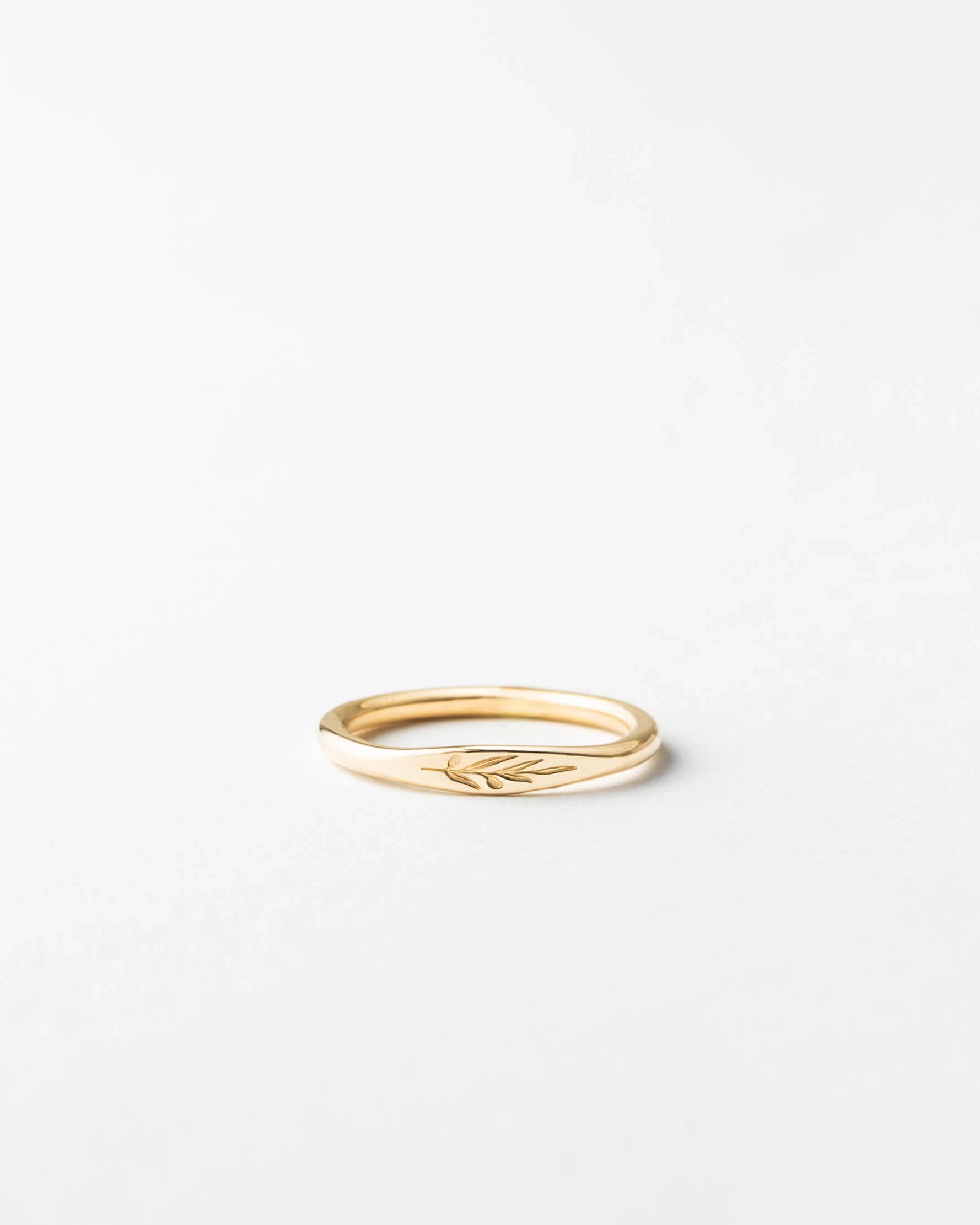 Affordable Product Olive Branch Signet