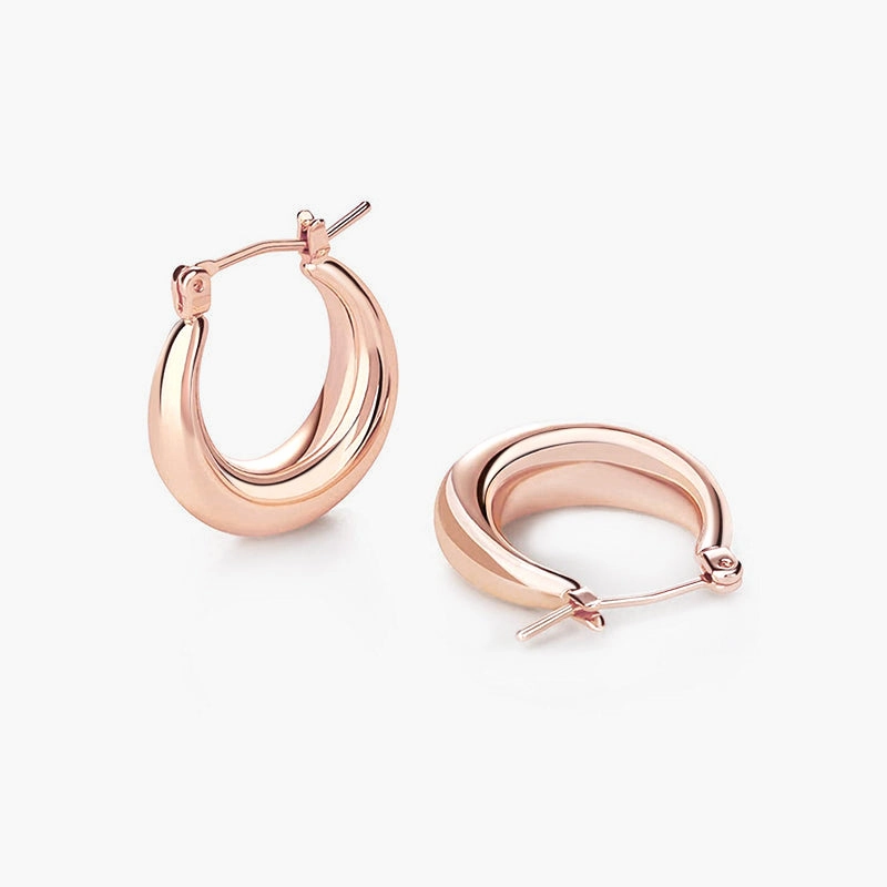 Luxury Craft Thick Hoop Earrings For Women