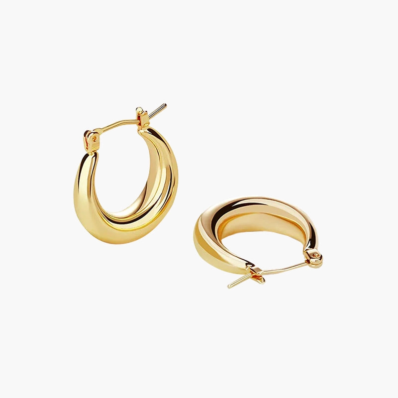 Dainty Finish Daily Essential Thick Hoop Earrings For Women